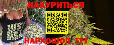 сатива Кулебаки